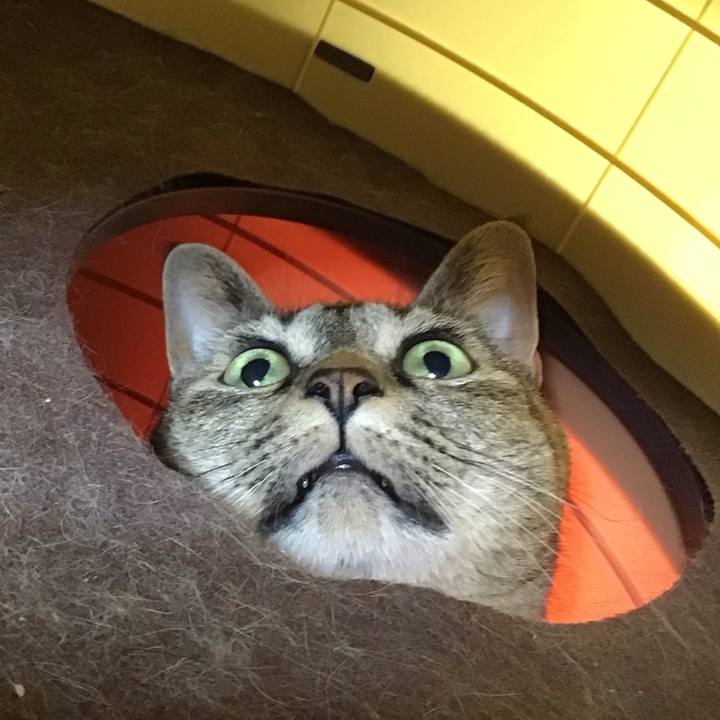 Eb63b262 8142 4492 8851 b6e820665afa 1749030331489