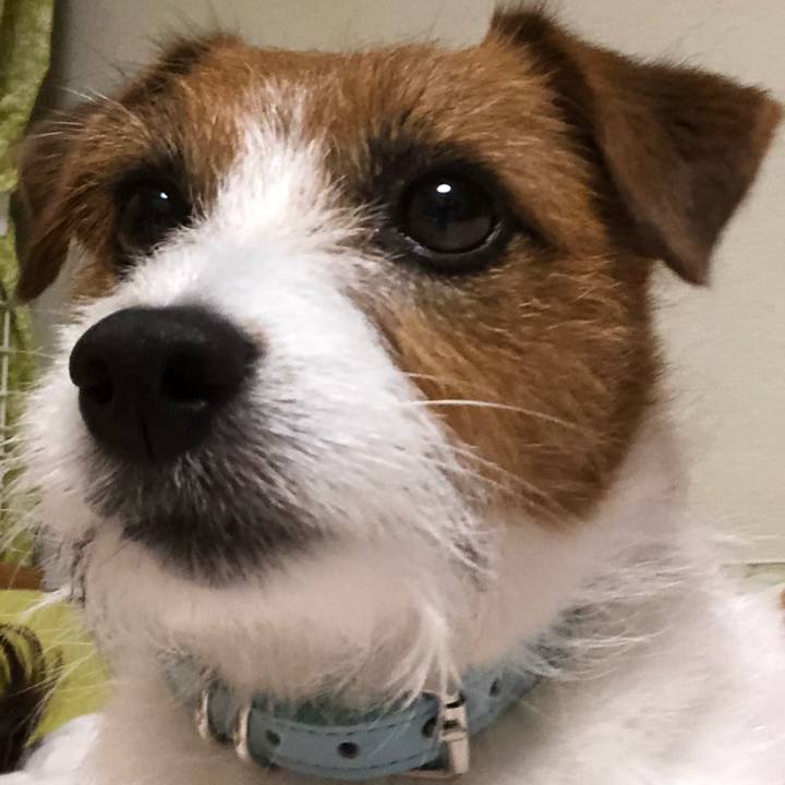 Eb63c9d9 4b16 4440 bf0e 06f971902903 1529238731930