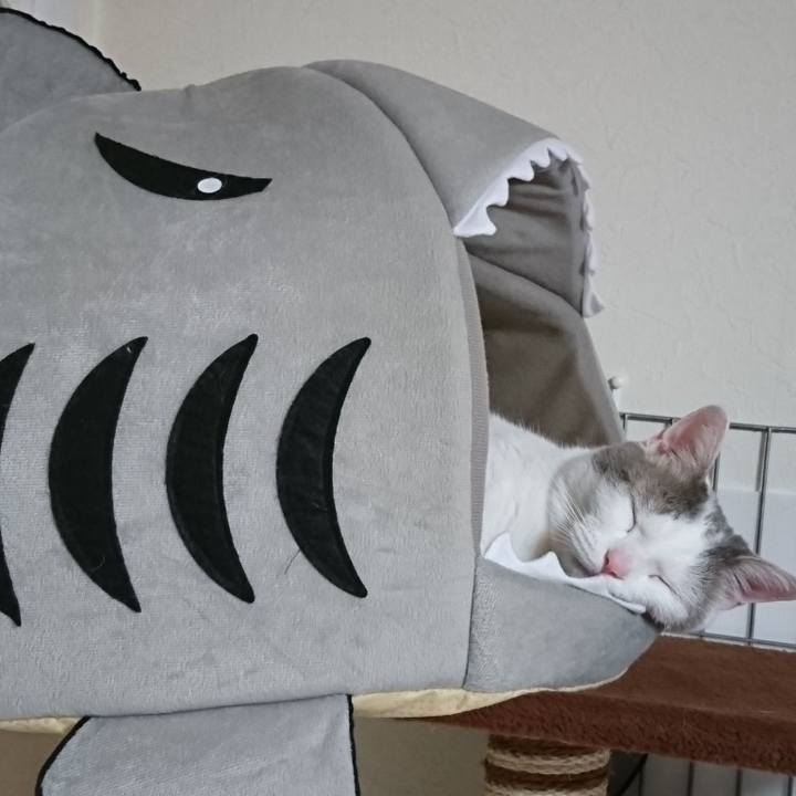 Eb63d853 9591 4c6a 930b c375c3df6bd7 1538212394990