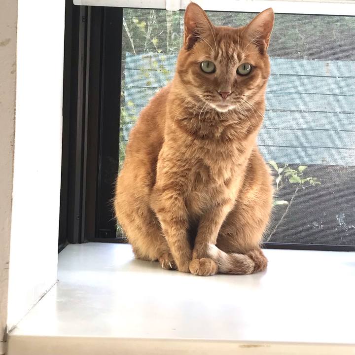 Eb63ed04 466c 4f37 979e bd46acf243c2 1632364468538