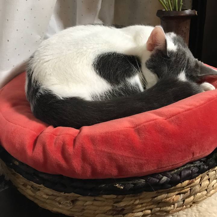 Eb63f2a9 0c98 4c1e 8924 3eab95aee1b4 1508927650561