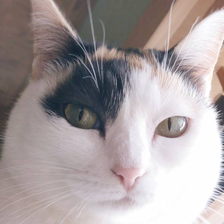 Eb643568 726e 457d 83ae 97a4a0a0f253 1554774567549