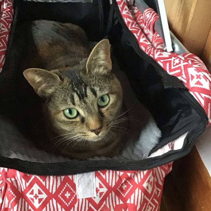 Eb643bff 1ff8 4033 8047 1acf1064b38f 1647681472367