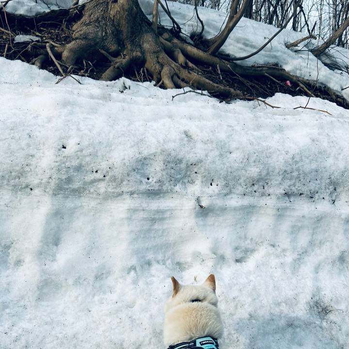 Eb6445a7 4c58 4fdf bc44 39543a59ca98 1743287820749