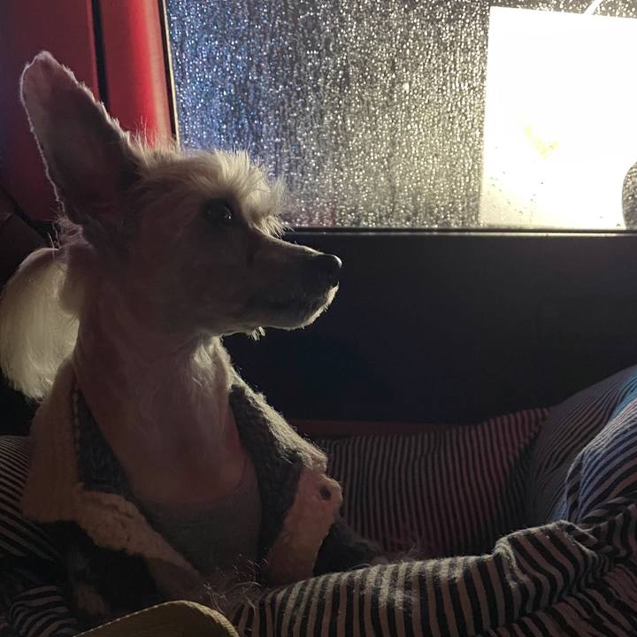 Eb644c02 77c7 484a 944d 8da68cedc825 1772012078545