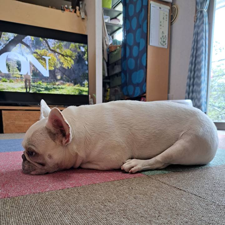 Eb645836 d371 411e 840e ab986367b4c0 1692160794566