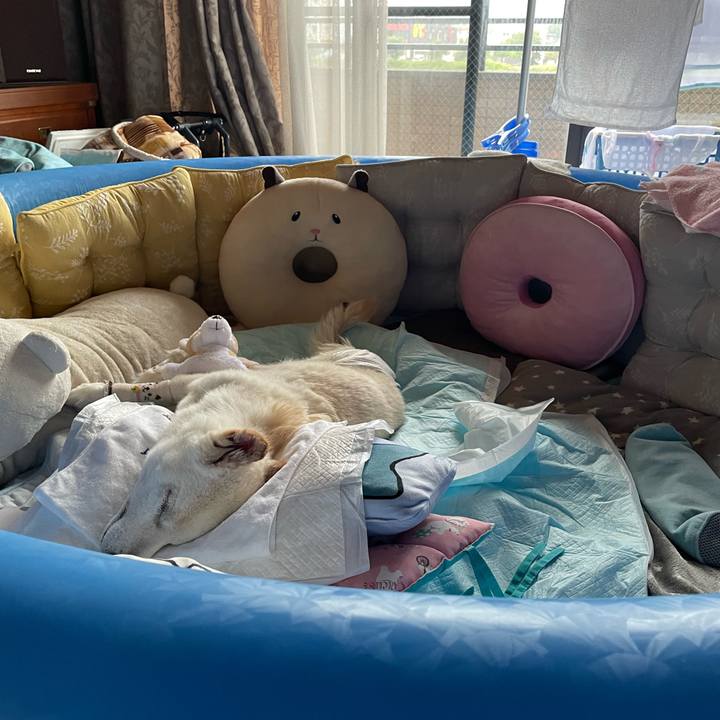 Eb645d54 3cbf 4414 8cf2 808578cbab37 1689754199450