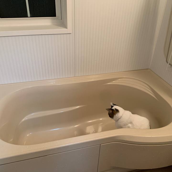 Eb64b21b 5d8a 4a5b a503 6fae0d58e908 1669805240879