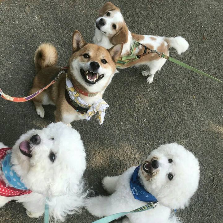 Eb64bfb2 0aee 4fe0 af56 4db42aa83624 1533267934703