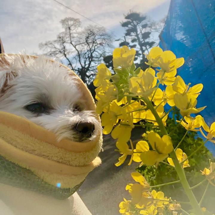 Eb64caab 3926 4082 82f3 31a39ec18fb1 1546925621995