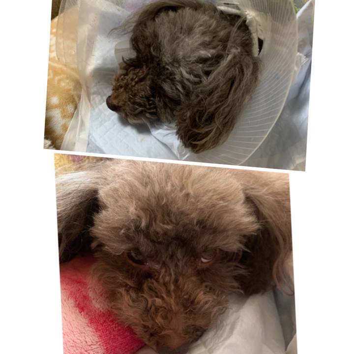 Eb64d2c0 7369 4847 b987 cea868ba2748 1581547190595