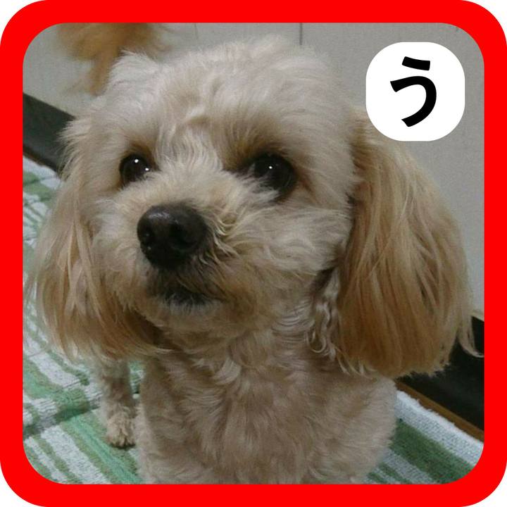 Eb650bca acf8 407d 9306 dd38dc3b3466 1515070175572