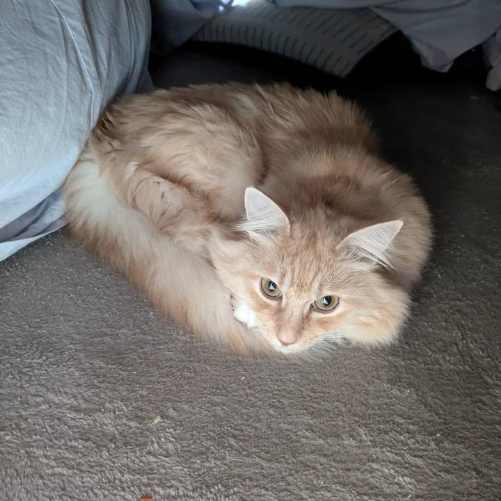 Eb6519b1 0dd3 4259 b5c9 fc36abf237c0 1766456977534