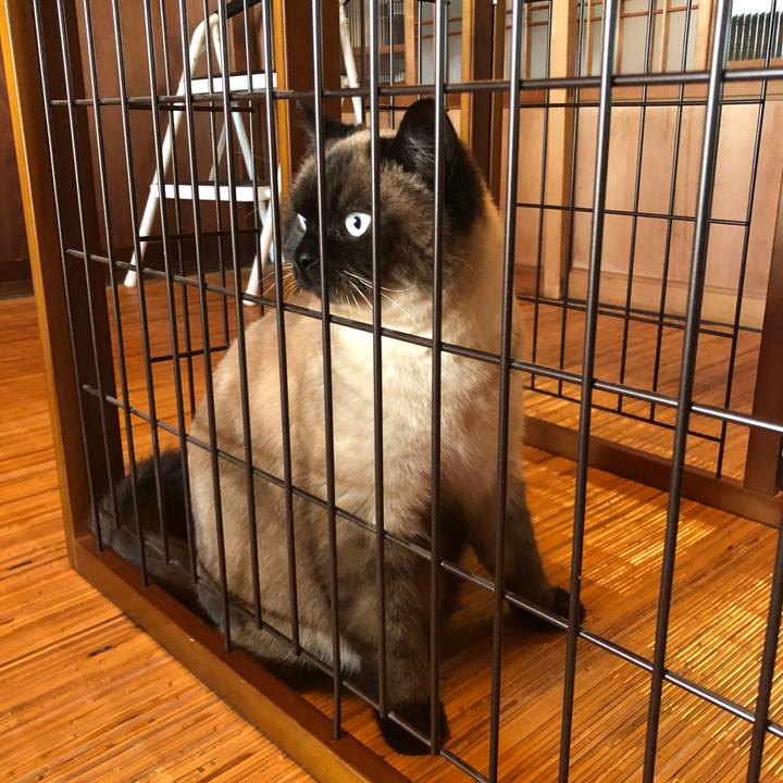 Eb651f0d 5ca2 4063 a601 5f57425602da 1614479309067