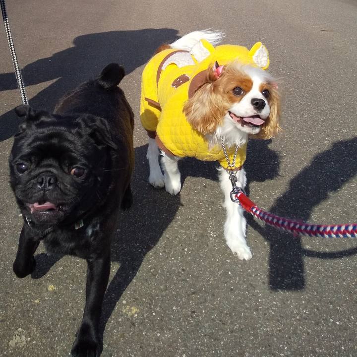 Eb6524d8 8ea5 43b5 b41e 3fefe091436c 1613193570698