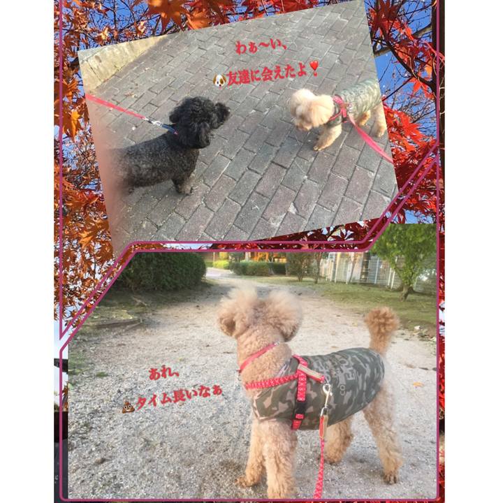 Eb65431c 57e6 4473 8e8f c3614992e10b 1540370099974