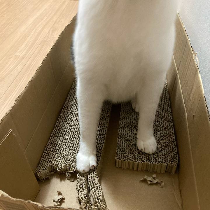 Eb654771 b47a 417f a8b9 9660086d2e35 1572183310419