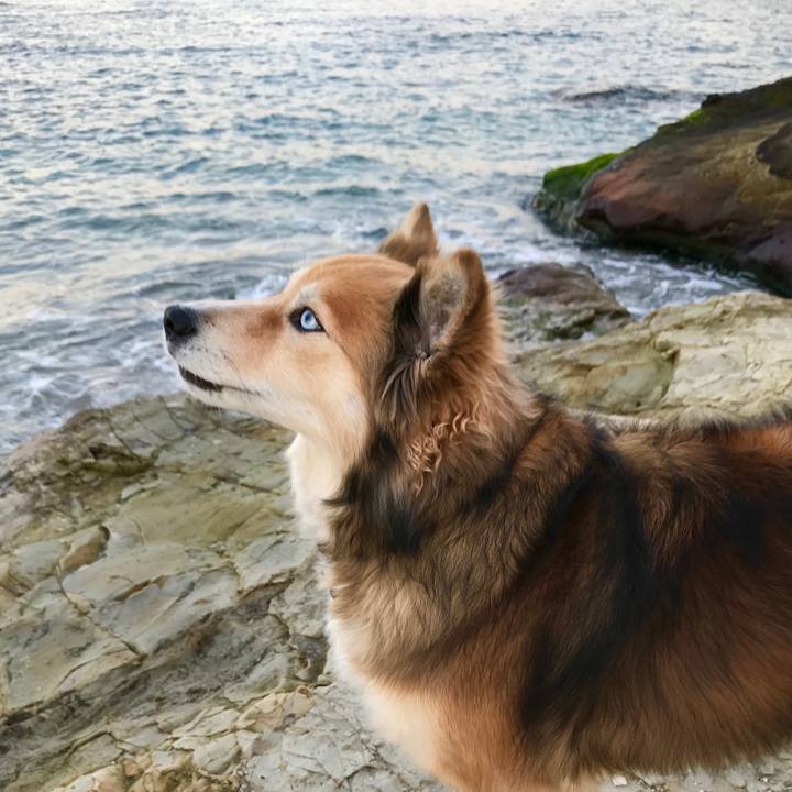 Eb6584ef 5d90 44a0 b956 cdc186fad617 1545725415696