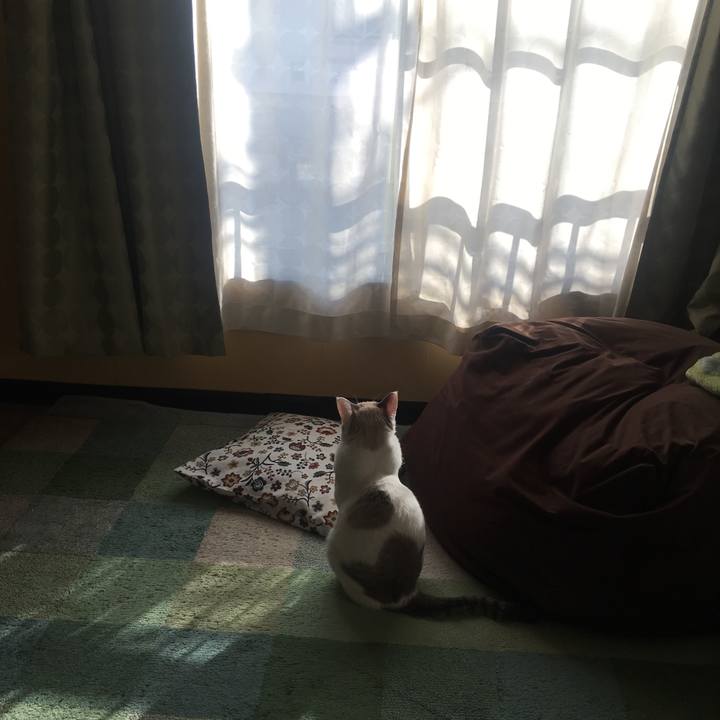 Eb659f0d 0dbe 4fe4 b841 b3a97a131913 1549157723067