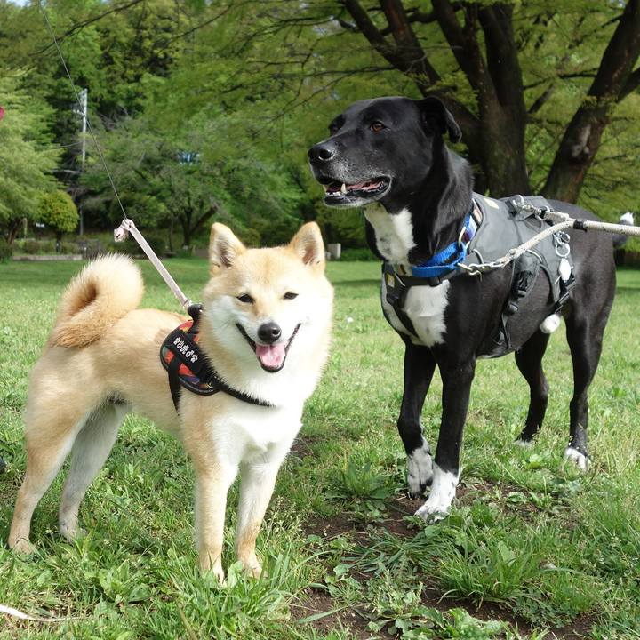 Eb65e789 02cc 4011 b595 4e6583f6e2c4 1650588544577