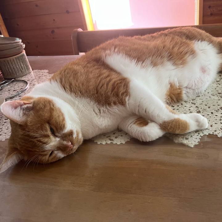 Eb663445 7c0b 4b2c a883 9f3dcb3da696 1753307767535