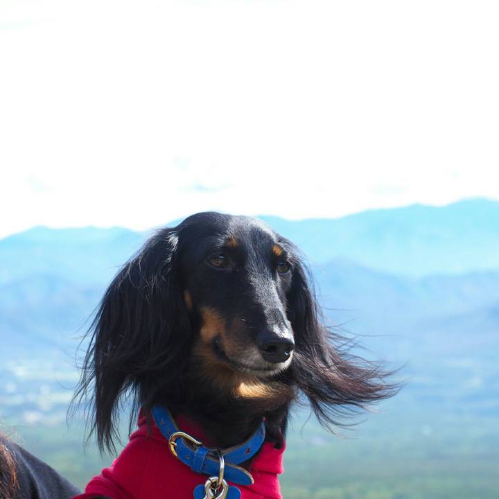 Eb6636d7 b258 4b20 be76 c940a184c632 1569740969143