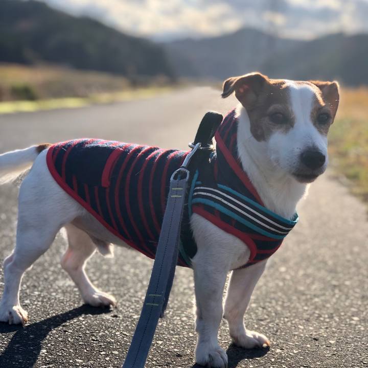 Eb663ece b604 43a3 aef1 a043acac7e03 1734428005258