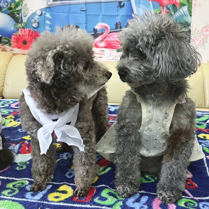 Eb664140 3373 4035 8989 cc10fc878b61 1753051695831