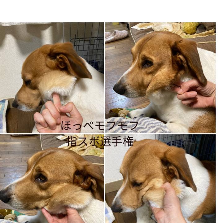 Eb6660ec 3e73 4965 97e0 1bc3aafc5bc4 1672409525551