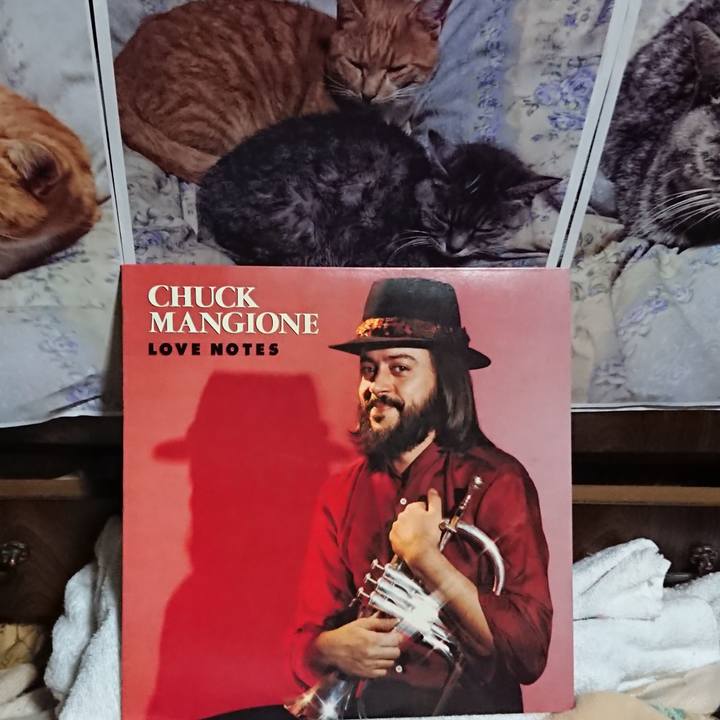 Eb6666b8 9529 4212 a286 0e642fb3f2dd 1623843942649