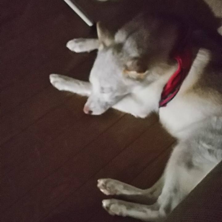 Eb66a502 f149 40f7 816f 9bec027d8c39 1536325574646