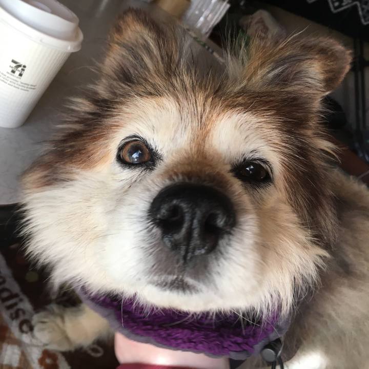 Eb66c290 d5b0 46fe 9178 a6176947f127 1590285803348