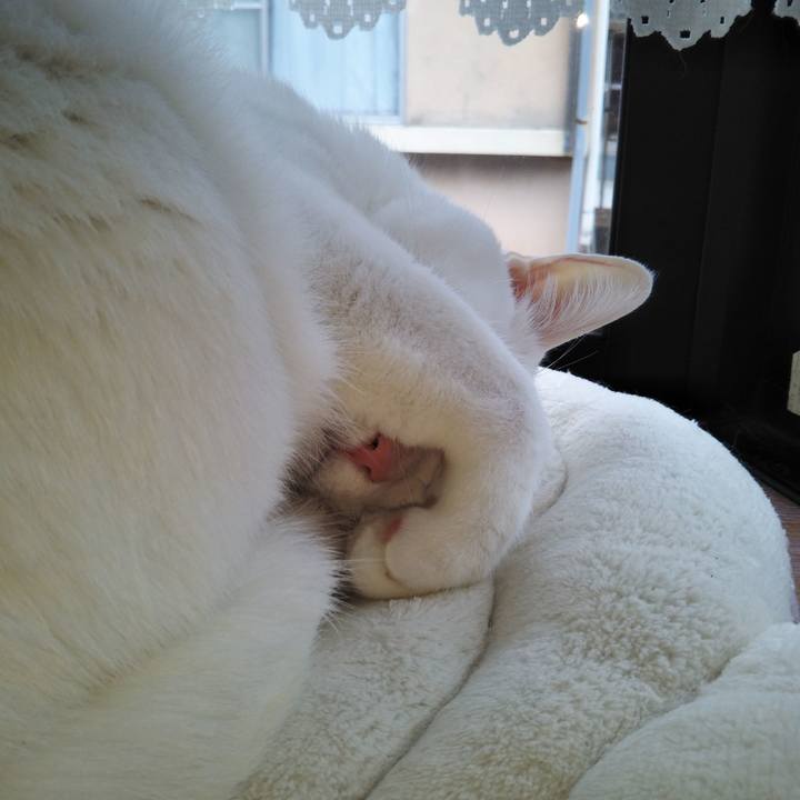 Eb670cb8 8c90 43e5 b0a8 d1b5c939c50e 1579491628277