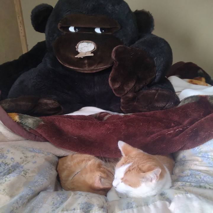 Eb672d2d 0e0a 45ec 9ddd edfb4406800e 1743136627764