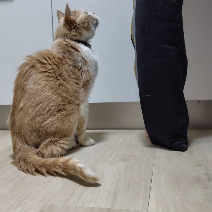 Eb674b4b de1a 43de 8d50 c07ffe9ec5fd 1741699299673