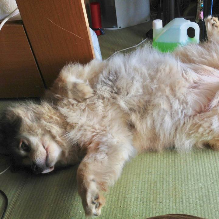 Eb675fd8 b2c1 4f70 acf6 adb4abe536ba 1644299280048