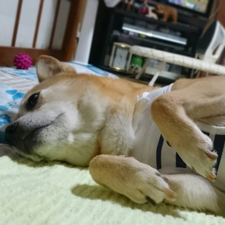 Eb6761f5 da0a 44ba bdf0 4313ccab2fc3 1532001552478