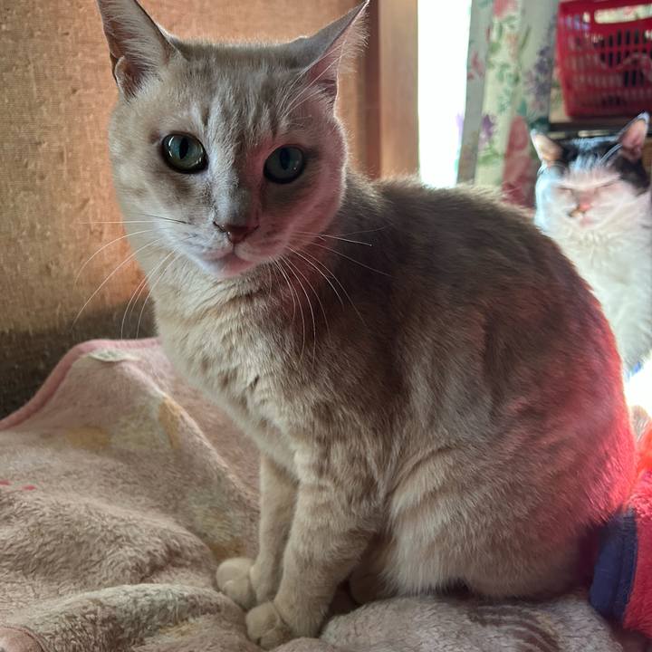 Eb677b36 3157 4d0d bf65 53991ee4c270 1770248638912