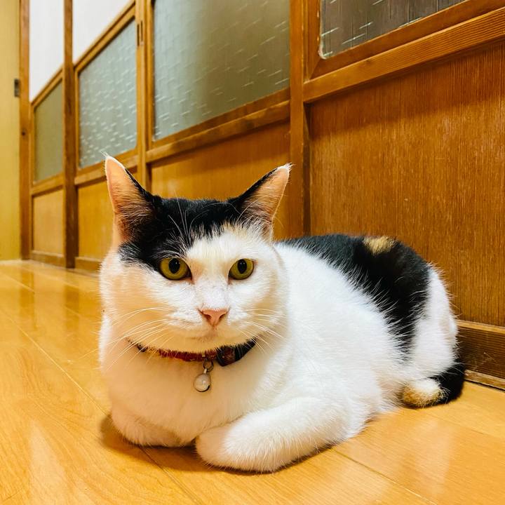 Eb67ae6a 26a0 4f24 9368 6d0d8ae1bed4 1689341538095