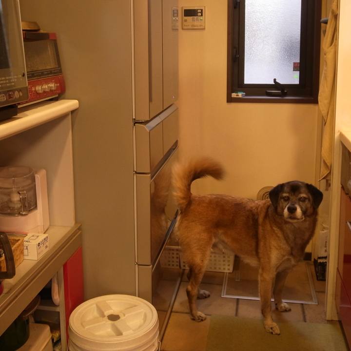 Eb67b799 48f7 4435 a0e1 0d59b2203682 1590369549954