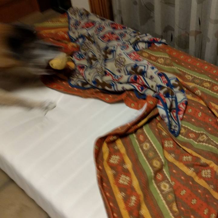 Eb67d5bb 5e55 4871 8ff1 2e307d7f0d87 1539682151303