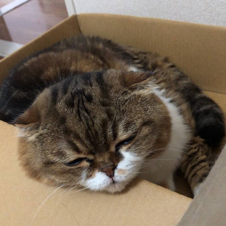 Eb67d706 e64f 4751 9b87 68d6399b09c9 1536545607163