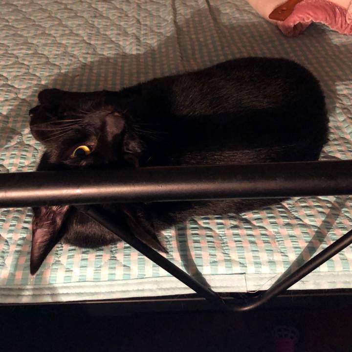 Eb67fe8b 2f12 4755 a20c cfe02716341c 1661869188190