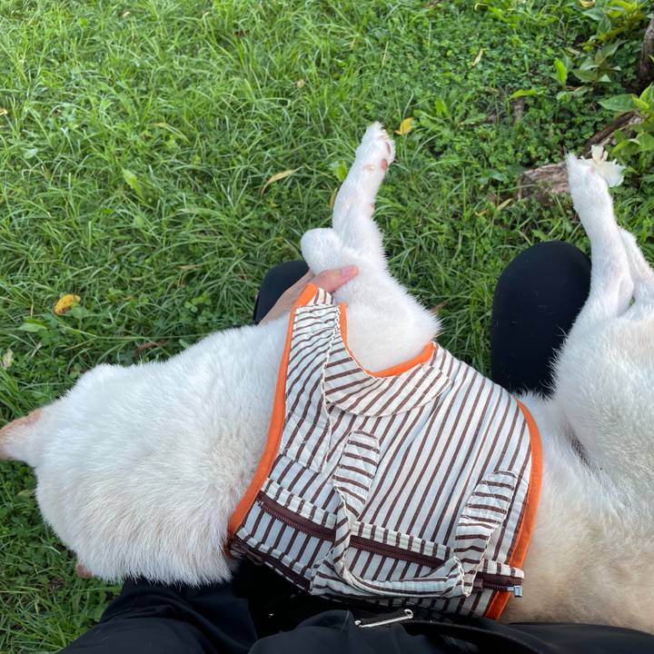 Eb687de2 394b 458b aa5e a90839b680b3 1657110388163