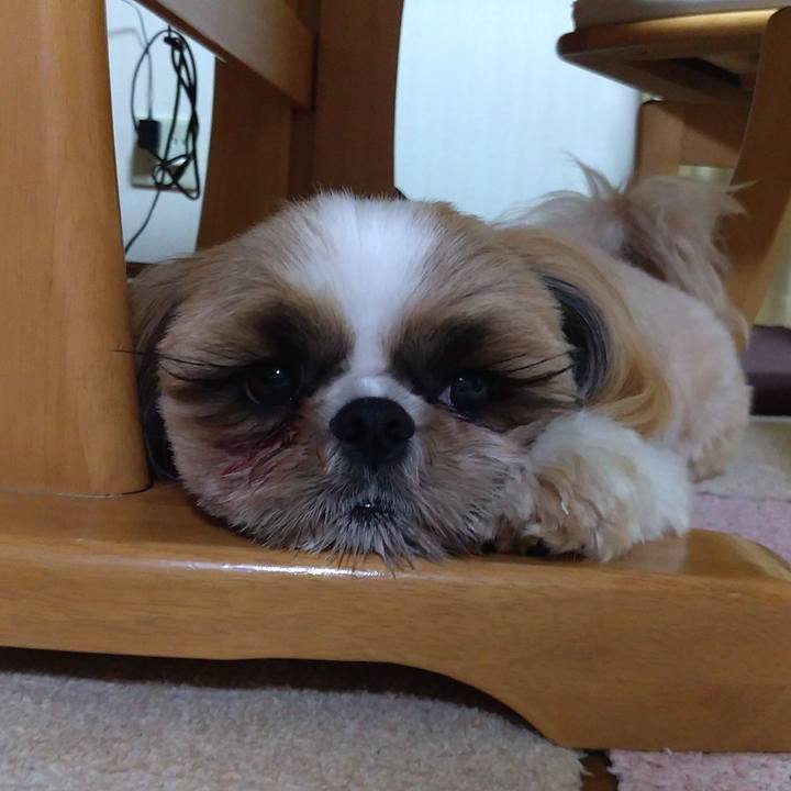 Eb6880c3 1d51 472c 9e7d 5179e411c6dc 1619864169533