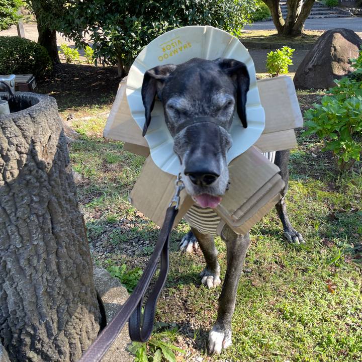 Eb6883b5 657d 4b76 9f73 04269a02d2e8 1634951452883