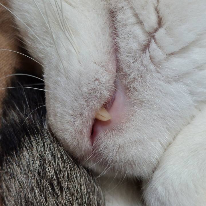 Eb688d65 a61c 4ff5 9582 0e27a7afa955 1688724086673