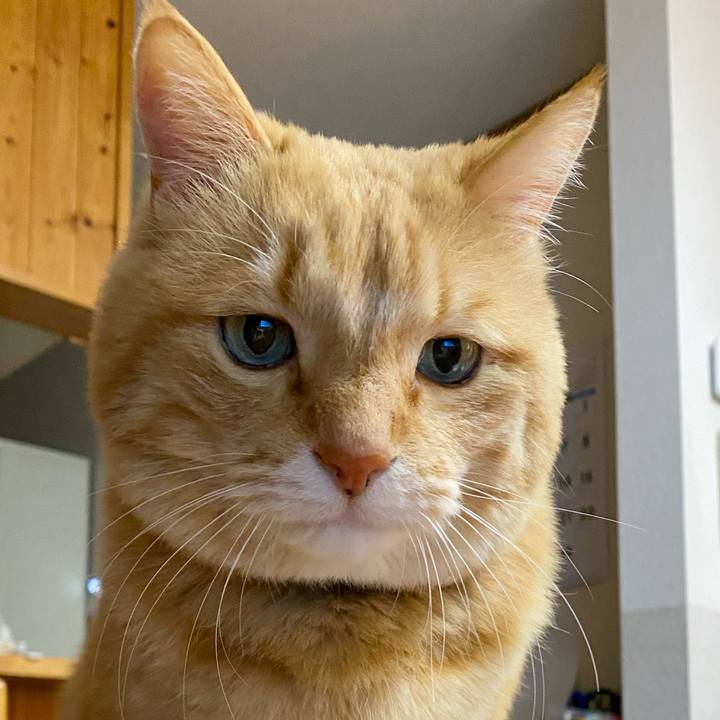 Eb6913ee eff9 4cb3 b33f 55620283fda2 1740828274893