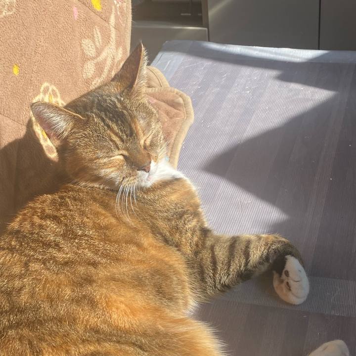 Eb6919ba 8c9d 4015 965d e4a48ee6a3f5 1642480607638