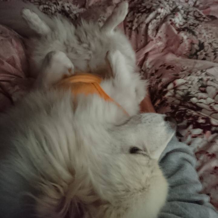 Eb692651 1bce 43b0 8589 5bfb95152b9d 1538688131929